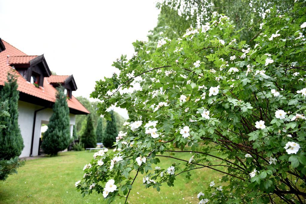 Zajazd Bialy Mlyn Sterławki Wielkie Esterno foto